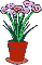 Container plant